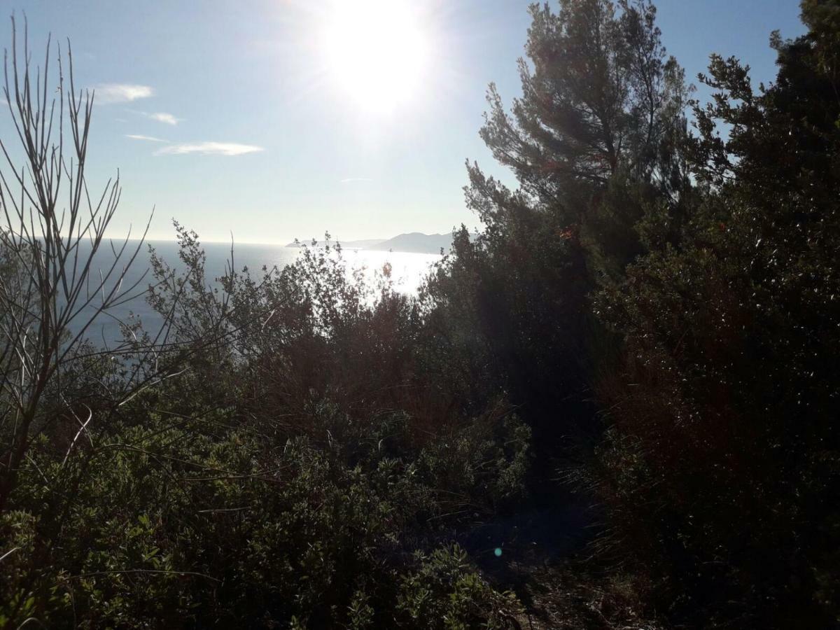 Apartment Aurora & Nicole Ideal Per Biker Con Terazza Vista Mare Parcheggio E Wi-Fi Gratuiti Пьетра-Лигуре Экстерьер фото